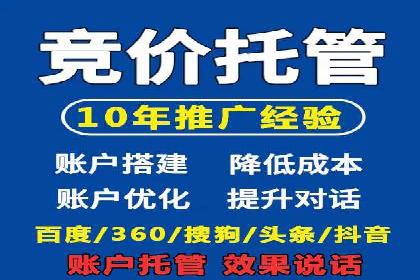 XX领域竞价广告的投放策略及效果展示